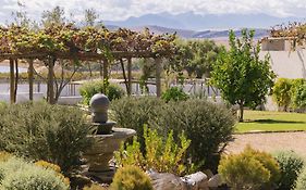 Doran Vineyards